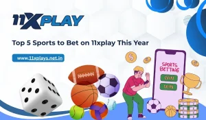 Top 5 Sports to Bet on 11xplay This Year