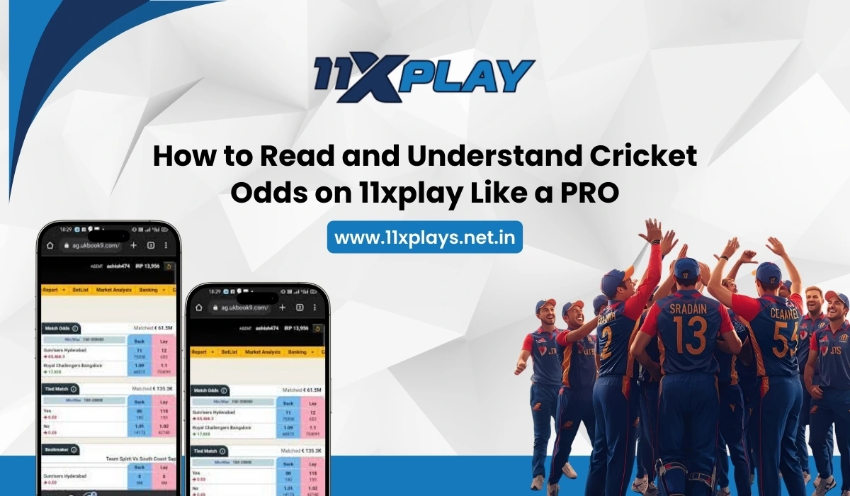 How to Read & Understand Cricket Odds on 11xplay Like a Pro